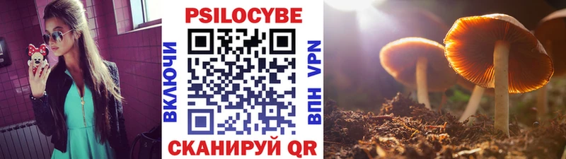 гидра рабочий сайт  Кяхта  Псилоцибиновые грибы мицелий  дарнет шоп 